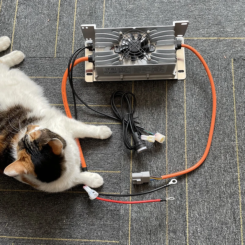 24V 48V 60V 72V 80V 84V 100.8V - огляд і ціна 72V 15A Fast Charger