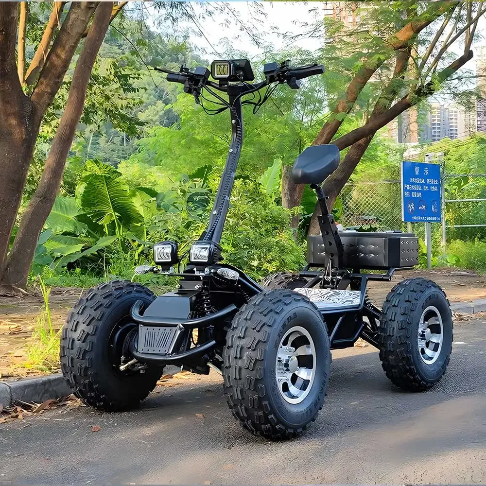 ESWING High Power 10000 Motor  - огляд і ціна 60V 50Ah Electric Scooter Battery