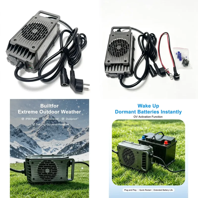 Electric Surfboard Charger Efo - огляд і ціна 84V 20A Smart Charger