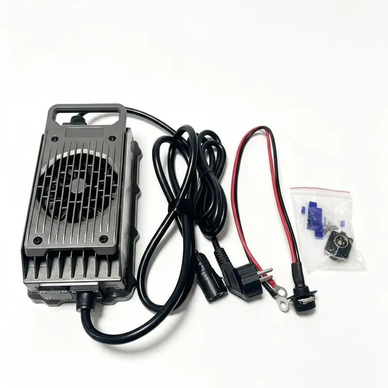Electric Surfboard Charger Efo - огляд і ціна 84V 20A Smart Charger